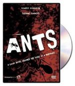 Ants!