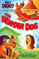 Wonder Dog