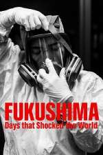 Fukushima: Days That Shocked The World