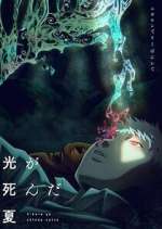 The Summer Hikaru Died