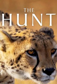 The Hunt - Season 1