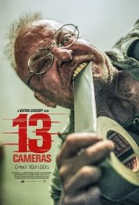 13 Cameras