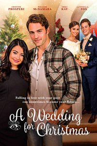 A Wedding For Christmas