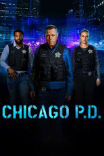 Chicago PD - Season 11