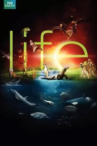 Life (2009) - Season 01