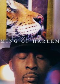 Ming of Harlem: Twenty One Storeys in the Air