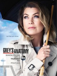 Greys Anatomy - Season 12