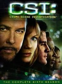 Csi - Season 6