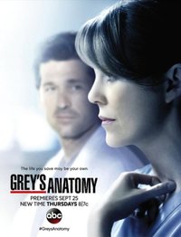 Greys Anatomy - Season 11