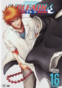 Bleach - Season 16 (English Audio)