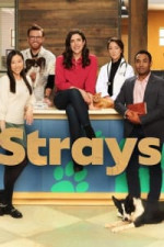 Strays - Season 1