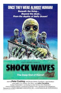 Shock Waves